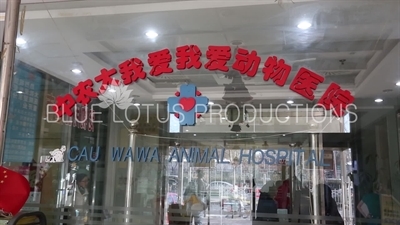 Beijing Animal Hospital