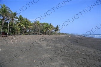 Beach in Nosara