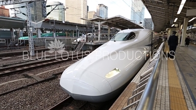 Bullet Trains (Shinkansen) on the Platform at Tokyo Station