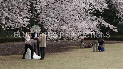 Shinjuku Gyoen National Park Wedding Photography in Tokyo