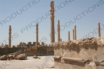 Apadana Palace at Persepolis