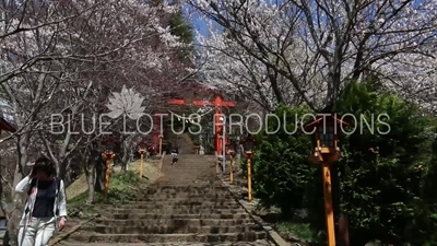 Arakura Sengen Shrine Entry Stairway in Fujiyoshida