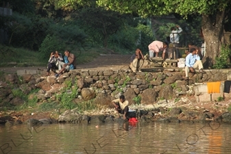 Bank of Lake Tana