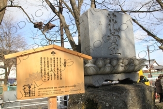 'Spirits of Flowers' Monument and Plaque in Zenko-ji in Nagano