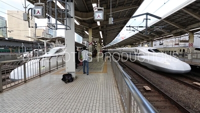 Bullet Trains (Shinkansen) on Platform at Tokyo Station