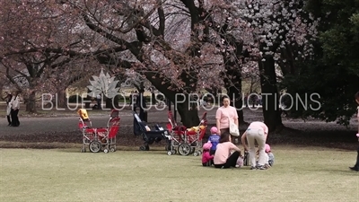 Children Playing in Shinjuku Gyoen National Park in Tokyo