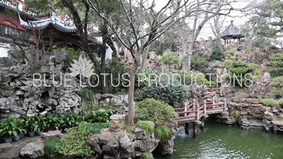 Pond inside Yu Garden (Yuyuan) in Shanghai