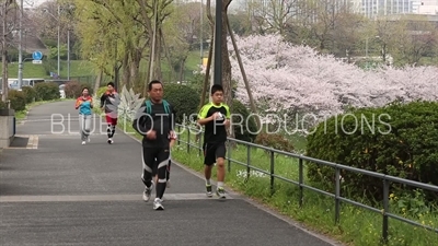 Tokyo Imperial Palace (Kokyo) Joggers and Cyclist