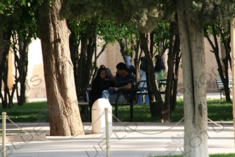 Eram Garden in Shiraz