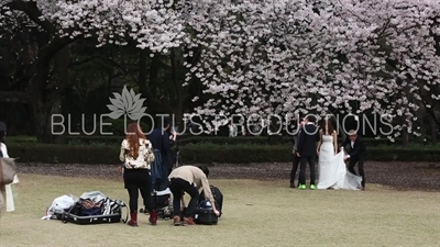 Shinjuku Gyoen National Park Wedding Photography in Tokyo