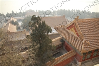 South Face of Longevity Hill (Wanshou Shan) in the Summer Palace in Beijing