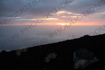 Sunrise at the Summit of Mount Fuji