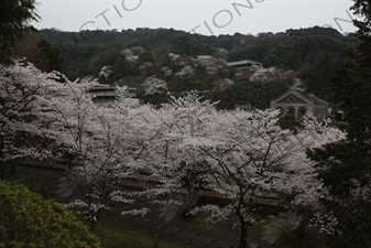 Biwako Incline in Kyoto