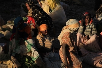 Women Selling Khat in Harar