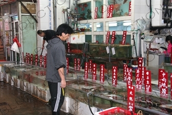 Fish Stall at a Market in Hong Kong