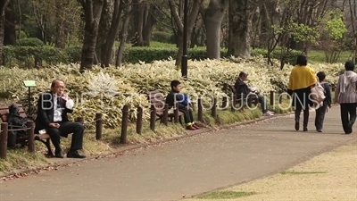 Kitanomaru Park/Garden in Tokyo