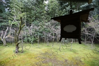 Lantern Hanging in the garden in Koto-in in Daitoku-ji in Kyoto