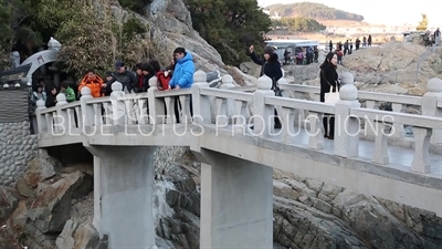 People Throwing Coins in the 'Lucky Coin Divination' Area of Haedong Yonggung Temple (Haedong Yonggungsa) in Busan