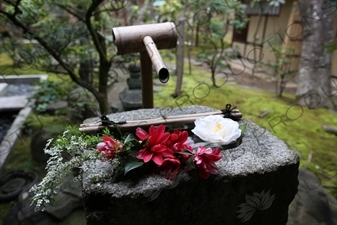 Bamboo Fountain in Korin-in in the Daitoku-ji Complex in Kyoto