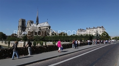 Notre-Dame and the Archbishop's Bridge (Pont de l'Archevêché) in Paris