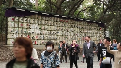 Meiji Shrine (Meiji Jinggu) Kazaridaru (Donated Sake Barrels) in Tokyo