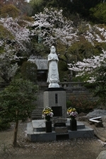 Statue of Guanyin/Kannon in Kencho-ji in Kamakura