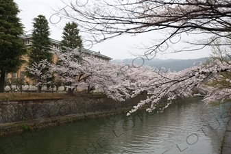 Lake Biwa Canal in Kyoto