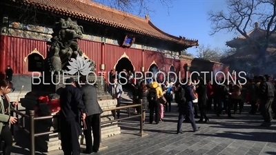 Guardian Lion in front of the Gate of Peace and Harmony (Yonghe Men) in the Lama Temple in Beijing