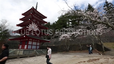 Chureito Pagoda near Fujiyoshida