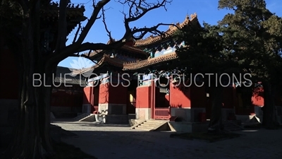 Stone Tablet Housing Pavilions (Beiting) in the Confucius Temple in Beijing