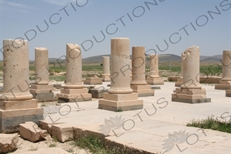 Palace of Pasargadae