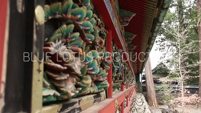 Carvings on the Corridor (Kairo) at Toshogu Shrine in Nikko