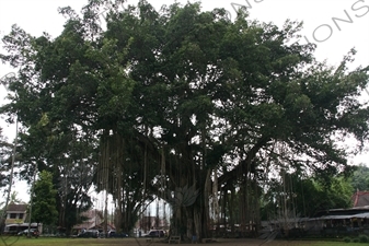 Mendut Temple