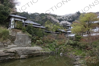 Pond and Temple Buildings in Engaku-ji in Kamakura