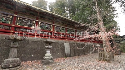 Carvings on the Corridor (Kairo) at Toshogu Shrine in Nikko