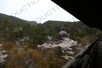 Grounds of Nanzen-ji in Kyoto