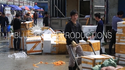 Huangsha Aquatic Products Wholesale Market (Huangsha Shuichan Jiaoyi) in Guangzhou