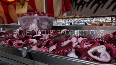 Yasakuni Shrine (Yasukuni-jinja) Octopus Tentacles in Tokyo