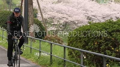 Tokyo Imperial Palace (Kokyo) Cyclist