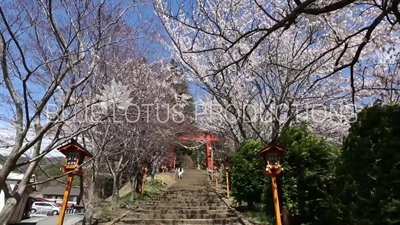 Arakura Sengen Shrine Entrance in Fujiyoshida