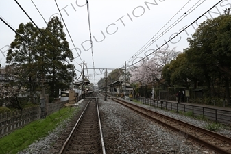 Train Tracks in Kamakura