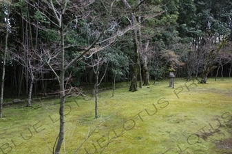 Garden in Koto-in in Daitoku-ji in Kyoto