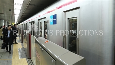 Tokyo Metro Station Platform