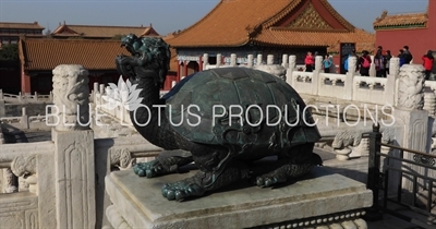 Turtle/Tortoise/Bixi Statue in front of the Hall of Supreme Harmony (Taihe Dian) in the Forbidden City in Beijing