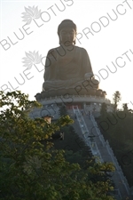 Big Buddha (Tiantan Da Fo) Statue on Lantau in Hong Kong