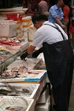 Fishmonger at a Street Market in Hong Kong