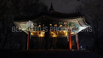 Palgak Pavilion (Palgakjeong) next to the Namsan TV Tower in Seoul