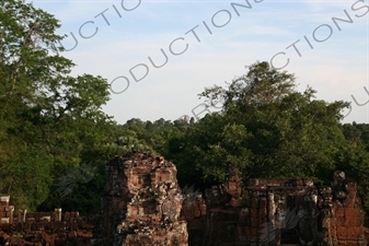 Jungle around East Mebon in Angkor Archaeological Park