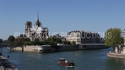 Notre-Dame and the Archbishop's Bridge (Pont de l'Archevêché) in Paris