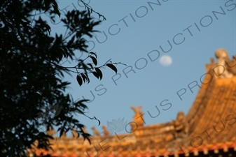 Po Lin Monastery on Lantau in Hong Kong